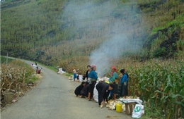 Đảng viên đi đầu phát triển kinh tế